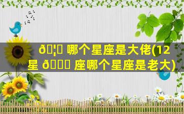 🦊 哪个星座是大佬(12星 🍀 座哪个星座是老大)